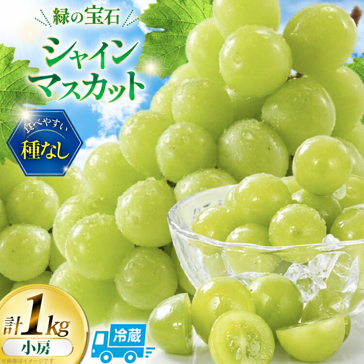 [2026年発送] 訳あり シャインマスカット 先行受付 小房 1kg [REGALO 山梨県 韮崎市 20745498] 訳アリ ワケあり 理由あり わけあり シャイン マスカット ブドウ ぶどう 葡萄 フルーツ 果物 くだもの 旬 山梨 ギフト 贈り物 フルーツギフト ふるさと納税