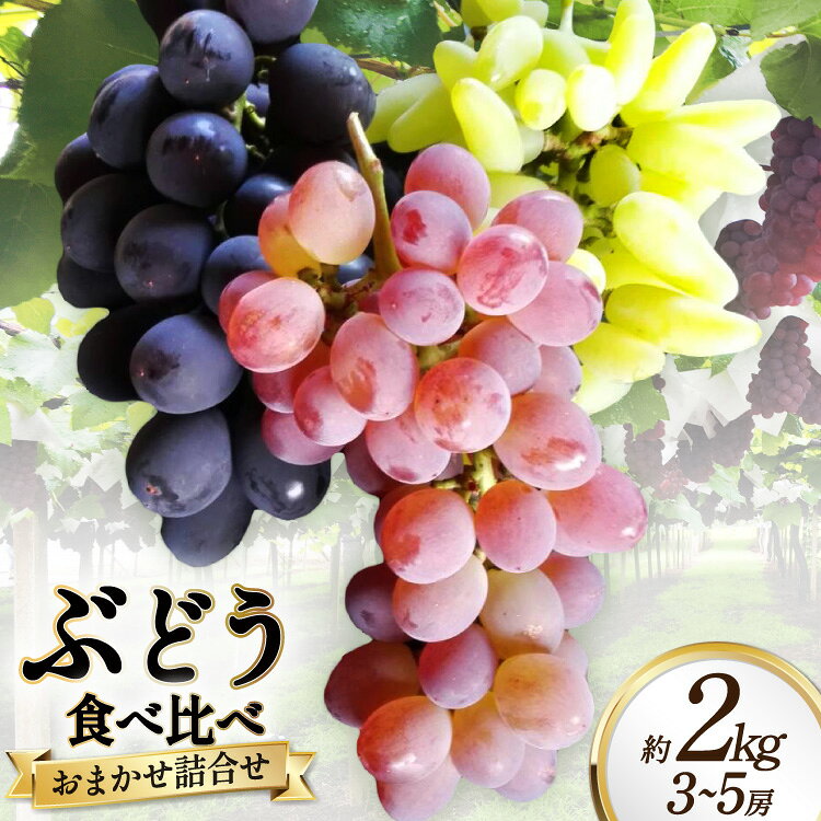 【ふるさと納税】生産者厳選 ぶどう食べ比べ おまかせ詰め合わせセット約2kg [太陽農園 山梨県 韮崎市 20745579] ブ…