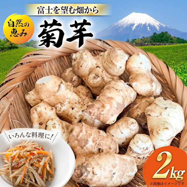 2026年12月上旬〜2027年3月下旬（順次発送） ※申込期日：2027年3月5日（決済確認） ※発送目安：決済確認から1〜2か月程度 ※収穫状況によって発送時期が変更になる場合があります。 ※申込が集中した場合は、通常よりさらに1〜2か月ほどお待たせすることがございます。 ※配送不可エリア:離島 ■山梨県韮崎市の大地が育んだ、掘りたて新鮮な菊芋 代々受け継ぐ土地を大切にする「にこにこファーム」が、自然豊かな山梨県韮崎市で丹精込めて育てた菊芋です。 ご注文をいただいてから収穫・選別し、掘りたての新鮮な状態でお届けします。 ■にこにこファームのこだわり 自然の力を活かした栽培： 栽培期間中はもちろん、苗の段階から農薬・化学肥料・除草剤を一切使用していません。 土壌や環境に優しく、安心してお召し上がりいただけます。 届いてすぐ使える丁寧な下処理： 収穫後に水洗いして土を落とし、調理時に使いづらい部分はあらかじめカットしてお届けします。 ■菊芋の特徴と魅力 キク科ヒマワリ属の根菜で、デンプンをほとんど含まず、水溶性食物繊維「イヌリン」を豊富に含んでいます。 毎日の健康的な食生活を取り入れたい方にぴったりの野菜です。 ■おすすめの調理方法（アク抜き不要） クセが少なく、調理法によって変わる独特の食感をお楽しみいただけます。 生で（シャキシャキ）：薄切りや細切りにして、サラダや浅漬けに。 炒め物（歯ごたえ抜群）：きんぴらや、肉・ベーコンとの炒め物に。 揚げ物（香ばしくホクホク）：薄切りの素揚げや天ぷらに。 煮物・スープ（ほっこり優しい味）：味噌汁、ポタージュ、煮物に。 【寄附前に必ずご確認ください】 ■見た目・サイズについて 農薬・化学肥料不使用のため、掘り傷や問題のない範囲での虫食い跡が見られる場合があります。 サイズはS・M・Lの混載となります（できるだけ大きめのものを選別しますが、時期の収穫状況により割合が異なります）。 収穫時期によっては、ポリフェノールが多い「赤菊芋」が混ざる場合があります（白菊芋のみの指定は承れません）。 ■梱包・発送について ご注文後に収穫・選別を行うため、発送はご寄附確認後おおむね1か月以内を予定しています（収穫状況により前後する場合があります）。 内容量や菊芋の大きさに合わせて、段ボール箱を加工して使用する場合がございます。 【お申し込み前に必ずご確認ください】 ・配達日の指定はお受けできません。 ・ご不在日がある場合は、申込時の備考欄に記載、または申込後3日以内に問合せ窓口へご連絡ください。 ・長期不在などお受取人様の都合によりお届けできなかった場合、再送いたしかねます。 ・万が一発送困難な場合は、当自治体の別のお品（同一金額以下）をお選びいただくことがございます。 ・返礼品に不備（傷みや品質不良等）があった場合、受取後2日以内に【問合せ先】へ「当該部分・全体・外箱」の写真を添えてご連絡ください。 ・受取後3日以上経過したお品物は、返品・交換等の対応はいたしかねます。 内容量「菊芋 2kg（S・M・Lサイズ混載）」 ■原産地 山梨県韮崎市 ■加工地（製造地） 山梨県韮崎市 消費期限・常温でお届けしますが、発送日を起算日として、冷蔵保存で約2週間を目安にお召し上がりください。 ・到着後は、濡らした新聞紙などで菊芋を包み、ビニール袋に入れて冷蔵庫の野菜室で保存してください。乾燥を防ぎ、みずみずしさを保ちやすくなります。 ・生鮮野菜のため、なるべくお早めにお召し上がりください。保存状態や収穫時期によって鮮度の変化には差があります。 配送方法常温 事業者にこにこファーム ・ふるさと納税よくある質問はこちら ・寄附申込みのキャンセル、返礼品の変更・返品はできません。あらかじめご了承ください。菊芋 掘りたて生菊芋 農薬化学肥料不使用 国産 期間限定 2kg ■山梨県韮崎市の大地が育んだ、掘りたて新鮮な菊芋 代々受け継ぐ土地を大切にする「にこにこファーム」が、自然豊かな山梨県韮崎市で丹精込めて育てた菊芋です。 ご注文をいただいてから収穫・選別し、掘りたての新鮮な状態でお届けします。 ■にこにこファームのこだわり 自然の力を活かした栽培： 栽培期間中はもちろん、苗の段階から農薬・化学肥料・除草剤を一切使用していません。 土壌や環境に優しく、安心してお召し上がりいただけます。 届いてすぐ使える丁寧な下処理： 収穫後に水洗いして土を落とし、調理時に使いづらい部分はあらかじめカットしてお届けします。 ■菊芋の特徴と魅力 キク科ヒマワリ属の根菜で、デンプンをほとんど含まず、水溶性食物繊維「イヌリン」を豊富に含んでいます。 毎日の健康的な食生活を取り入れたい方にぴったりの野菜です。 ■おすすめの調理方法（アク抜き不要） クセが少なく、調理法によって変わる独特の食感をお楽しみいただけます。 生で（シャキシャキ）：薄切りや細切りにして、サラダや浅漬けに。 炒め物（歯ごたえ抜群）：きんぴらや、肉・ベーコンとの炒め物に。 揚げ物（香ばしくホクホク）：薄切りの素揚げや天ぷらに。 煮物・スープ（ほっこり優しい味）：味噌汁、ポタージュ、煮物に。 【寄附前に必ずご確認ください】 ■見た目・サイズについて 農薬・化学肥料不使用のため、掘り傷や問題のない範囲での虫食い跡が見られる場合があります。 サイズはS・M・Lの混載となります（できるだけ大きめのものを選別しますが、時期の収穫状況により割合が異なります）。 収穫時期によっては、ポリフェノールが多い「赤菊芋」が混ざる場合があります（白菊芋のみの指定は承れません）。 ■梱包・発送について ご注文後に収穫・選別を行うため、発送はご寄附確認後おおむね1か月以内を予定しています（収穫状況により前後する場合があります）。 内容量や菊芋の大きさに合わせて、段ボール箱を加工して使用する場合がございます。 【お申し込み前に必ずご確認ください】 ・配達日の指定はお受けできません。 ・ご不在日がある場合は、申込時の備考欄に記載、または申込後3日以内に問合せ窓口へご連絡ください。 ・長期不在などお受取人様の都合によりお届けできなかった場合、再送いたしかねます。 ・万が一発送困難な場合は、当自治体の別のお品（同一金額以下）をお選びいただくことがございます。 ・返礼品に不備（傷みや品質不良等）があった場合、受取後2日以内に【問合せ先】へ「当該部分・全体・外箱」の写真を添えてご連絡ください。 ・受取後3日以上経過したお品物は、返品・交換等の対応はいたしかねます。