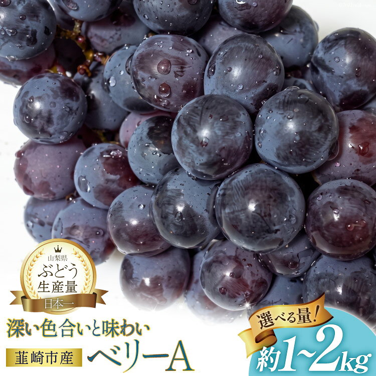 ぶどう ベリーA 約1kg〜2kg [2026年発送] 山梨 やまなし 甘い ブドウ 葡萄 マスカット ワインぶどう 果物 フルーツ 種あり 2キロ 1キロ 山梨県産 産地直送 期間限定 季節限定 冷蔵 常温 2026 [フルーツランド平賀 山梨県 韮崎市 20745660]
