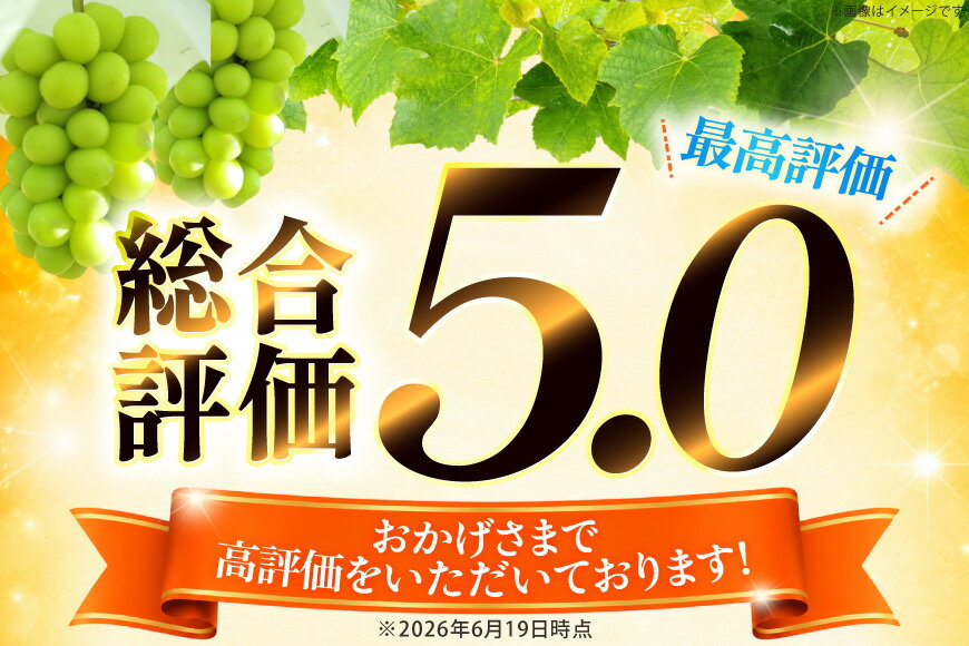 【ふるさと納税】総合ランキング1位 高評価★5.0 シャインマスカット 先行予約 1kg 2kg 3kg 定期便 選べる容量 ふるさと [山梨県 韮崎市 20745480] ふるさと納税 シャインマスカット フルーツ ぶどう マスカット 果物 山梨県産 ブドウ 葡萄 ふるさと納税シャインマスカット