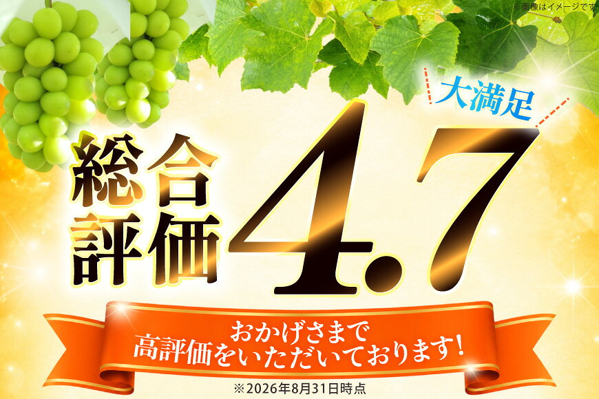 【ふるさと納税】 総合ランキング1位 高評価★4.7 シャインマスカット 先行予約 1kg 2kg 3kg 定期便 選べる容量 訳あり ふるさと納税 フルーツ [山梨県 韮崎市 20745480 REGALO] シャインマスカット マスカット ふるさと納税 ギフト 山梨県産 ぶどう 果物 ブドウ 規格外 ◎ f192074-nirasaki-10001556 山梨県韮崎市 サンプル画像2