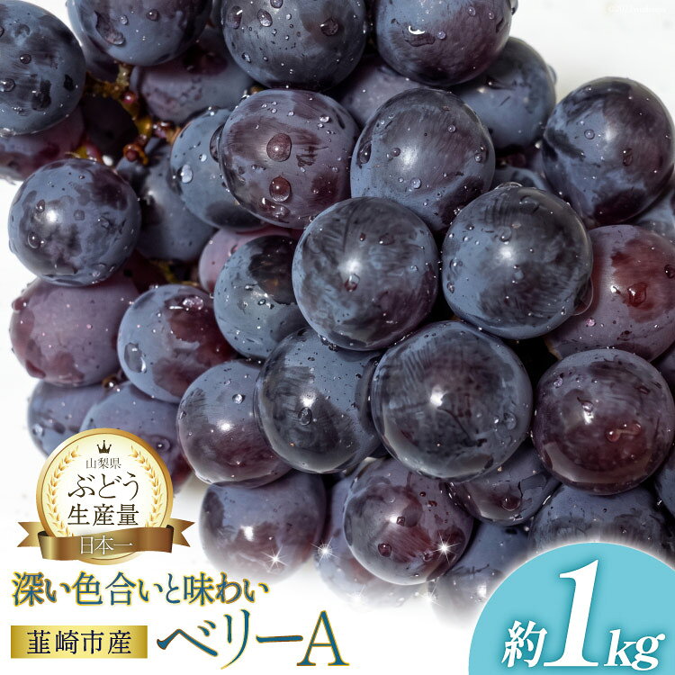  ぶどう ベリーA 約 1kg 【2027年発送】 山梨 やまなし ぶどう ブドウ 葡萄 マスカット ワインぶどう 果物 フルーツ 種あり 1キロ 山梨県産 産地直送 期間限定 季節限定 常温 2027 [フルーツランド平賀 山梨県 韮崎市 20745660]