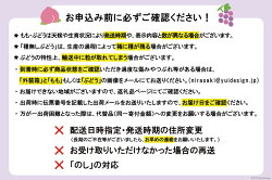 【ふるさと納税】【先行受付】 桃 2kg (5～8玉) [OUTTA REACH JAPAN 山梨県 韮崎市 20742338] もも モモ フルーツ 果物 ピーチ 山梨県産 期間限定 季節限定 旬･･･ 画像2