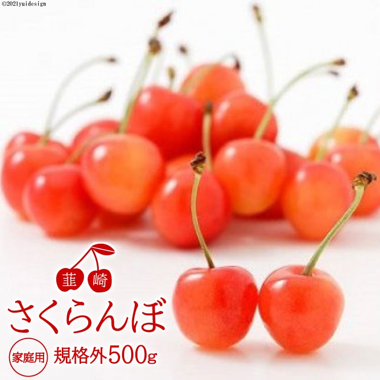 【ふるさと納税】【先行受付】韮崎産さくらんぼ 家庭用(規格外)いろいろバラ詰め500g [梨北農業協同組合 山梨県 韮崎市 20742300] さくらんぼ サクランボ 果物 フルーツ 季節限定のサムネイル