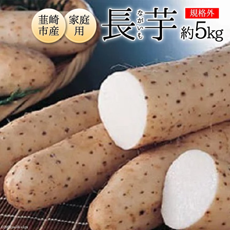 【ふるさと納税】1-24.韮崎産の家庭用長芋 約5kg [ 山梨県 韮崎市 20741962]のサムネイル
