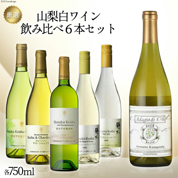 【ふるさと納税】ワイン 山梨 白ワイン 6本 爽やかな香り キリッとした味わい 厳選 セット 韮崎産