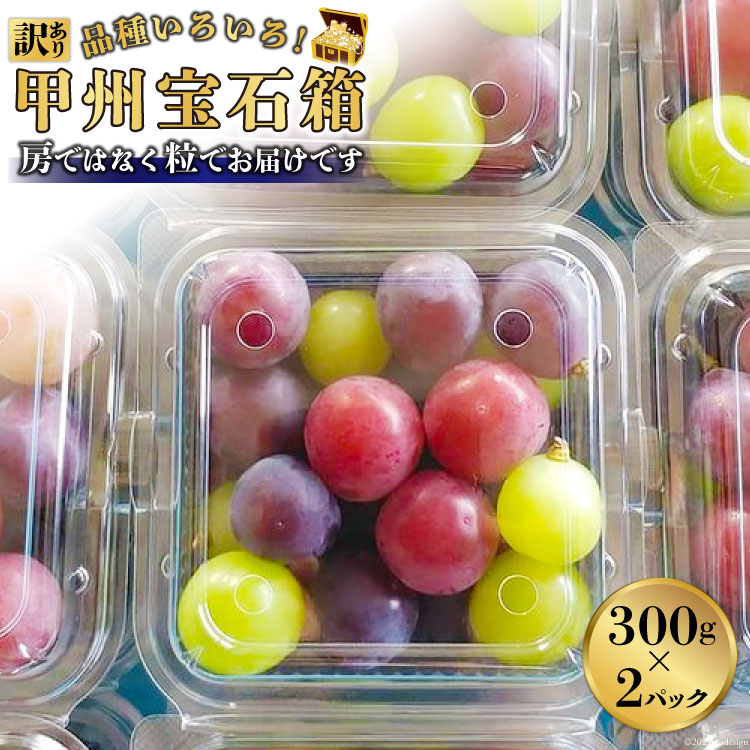 【ふるさと納税】【2025年発送】【訳あり】品種いろいろ！甲州宝石箱 300g×2パック [モリモリファーム 山梨県 韮崎市 20742845] フルーツ 果物 葡萄 ブドウ 食べ比べ 詰合せ 期間限定 季節限定 冷蔵のサムネイル