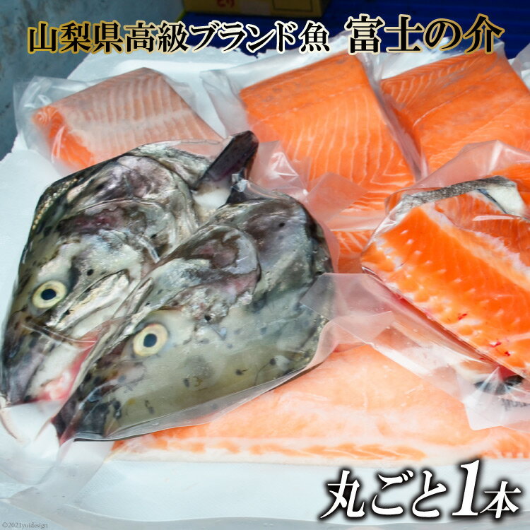 【ふるさと納税】【山梨県高級ブランド魚】「富士の介」丸ごと1本セット / 山本食肉 / 山梨県 韮崎市 [20741209]