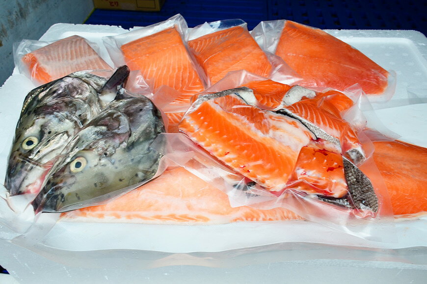 【ふるさと納税】【山梨県高級ブランド魚】「富士の介」丸ごと1本セット / 山本食肉 / 山梨県 韮崎市 [20741209]