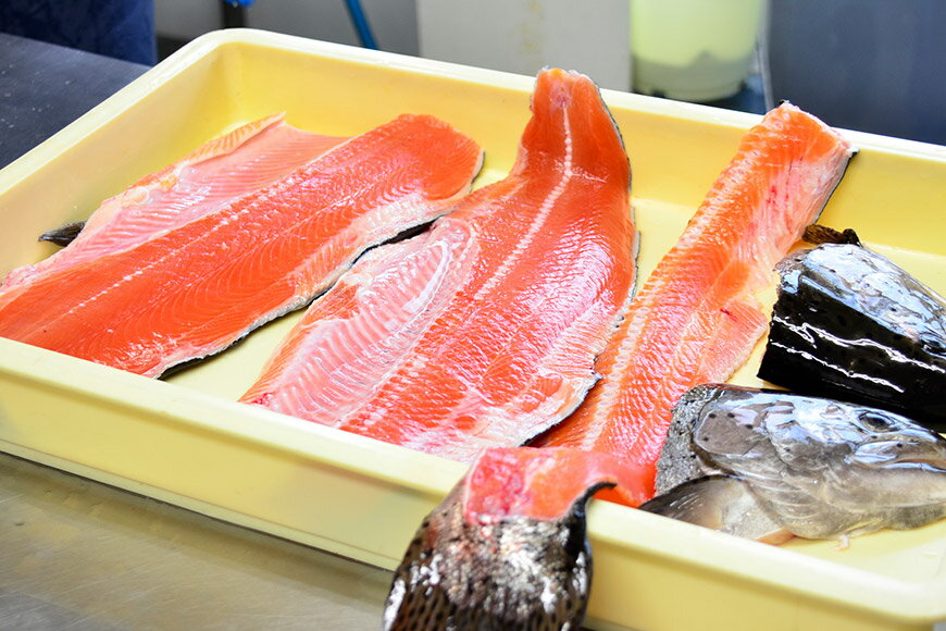 【ふるさと納税】【山梨県高級ブランド魚】「富士の介」丸ごと1本セット / 山本食肉 / 山梨県 韮崎市 [20741209]