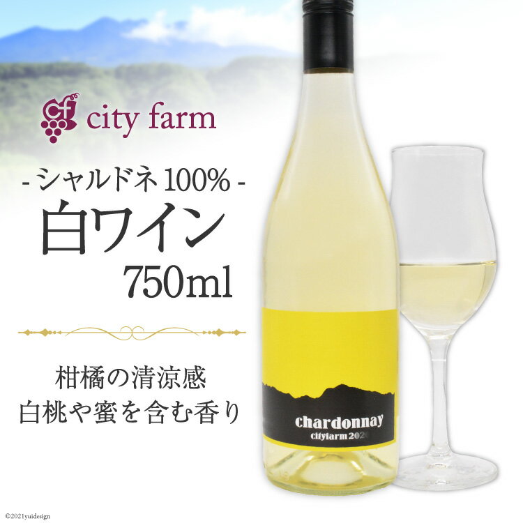 21位! 口コミ数「0件」評価「0」シャルドネ100% 白ワイン 750ml×1本（アルコール度数12％）＜city farm＞【山梨県韮崎市】