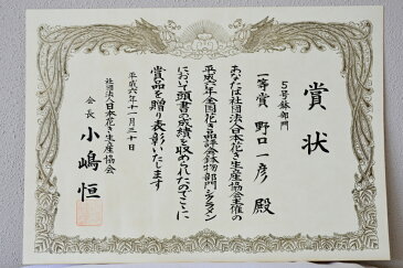 【ふるさと納税】【種類・色お任せ】シクラメン6号鉢(赤系・ピンク系・黄色系・フリンジ系のいずれか) / 韮崎ナーセリー / 山梨県 韮崎市