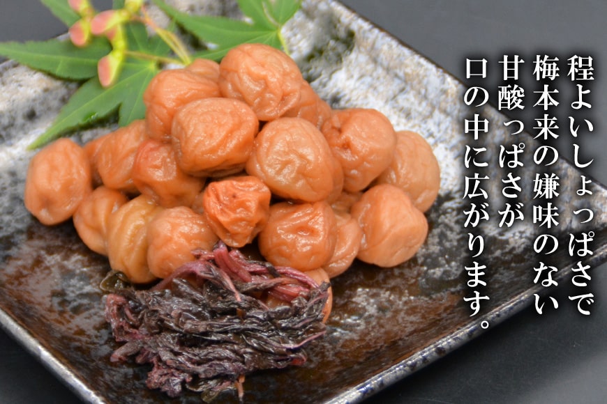【ふるさと納税】 【塩分11％】しそ風味 干し小梅 600g×1 [山梨農産食品 山梨県 韮...