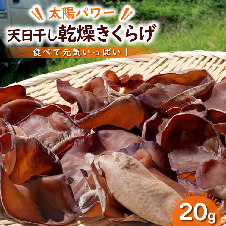 [太陽パワー]天日干し乾燥きくらげ 20g [山梨げんき農園 山梨県 韮崎市 20742269]