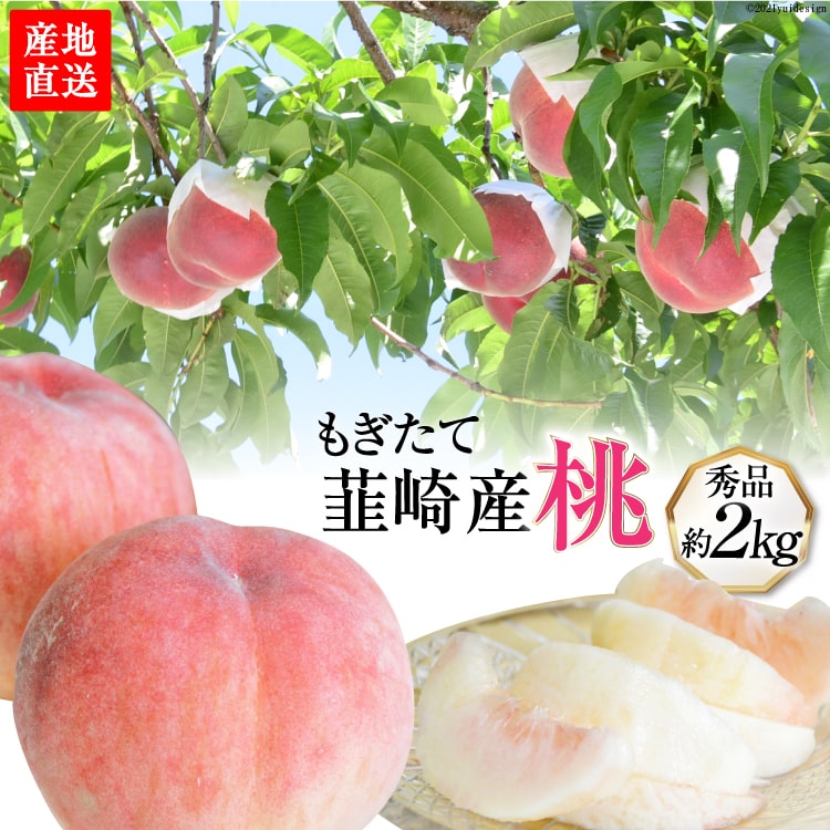 【ふるさと納税】【先行受付】もぎたて 産地直送 桃 秀品 約2kg [韮崎市桃農家の産直 山梨県 韮崎市 20742299] もも モモ 果物 フルーツ 期間限定 季節限定 冷蔵