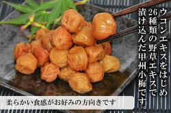 【ふるさと納税】【やわらか】信玄の薬膳小梅干 600g×1 [山梨農産食品 山梨県 韮崎市 20742088] 梅干し 梅干 うめぼし 梅 小粒 小梅 国産･･･ 画像2