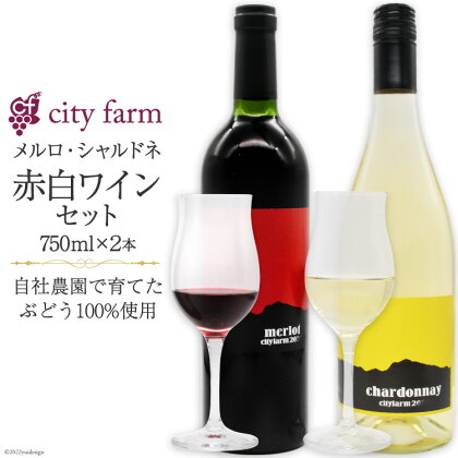 ワイン 赤 白 飲み比べ 穂坂産 メルロ ・ 白州産 シャルドネ 750ml×各1本 計2本 お酒 [city farm 山梨県 韮崎市 20742215]