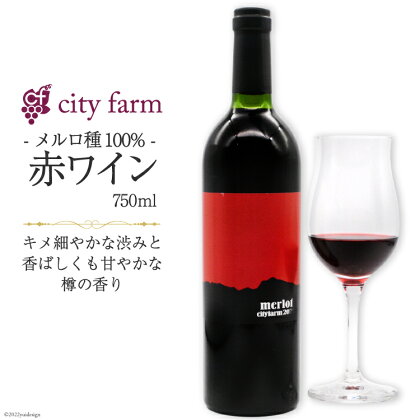 ワイン 赤 メルロ種 750ml×1本 穂坂産 ぶどう 100%使用 お酒 [city farm 山梨県 韮崎市 20742214]