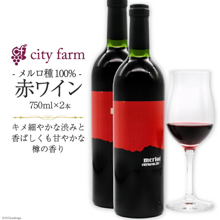 ワイン 赤 メルロ種 750ml×2本 穂坂産 ぶどう 100%使用 お酒 / city farm / 山梨県 韮崎市