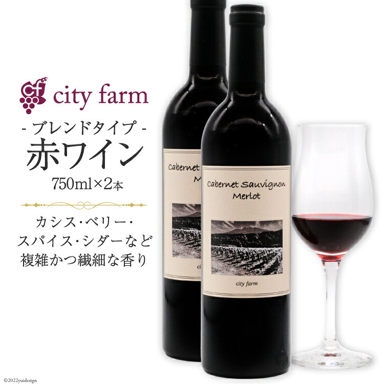 ワイン 山梨 赤 赤ワイン ブレンド ボルドー品種 ミディアムボディ 750ml 2本 ヴィンテージ 熟成 酒 お酒 洋酒 詰め合わせ 母の日 父の日 記念日 ギフト 送料無料 [city farm 山梨県 韮崎市 20741089]
