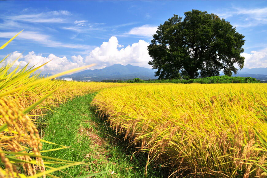 山梨県韮崎市の画像3