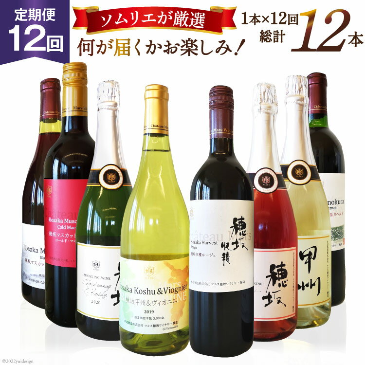 【ふるさと納税】 ワイン 定期便 12回 毎月 赤 白 赤ワイン 白ワイン スパークリング 飲み比べ セット マルスセレクト おまかせ ソムリエ 日本ワイン お...