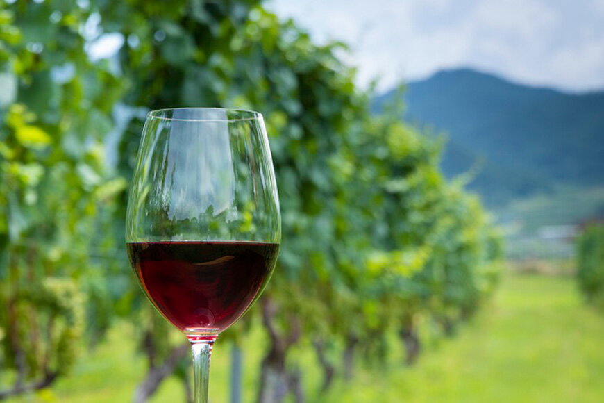 【ふるさと納税】 ワイン 山梨 定期便 6回 飲み比べ 詰め合わせ ワインセット セット 穂坂マスカット・ベーリーA シングル・ヴィンヤード 750ml 2種 6回 酒 ワイン 赤ワイン [シャトー・メルシャン 勝沼ワイナリー 山梨県 韮崎市 20743313]