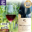 【ふるさと納税】 ワイン 定期便 赤 赤ワイン 750ml 2本 6回 穂坂 マスカット ベーリーA シングル ヴィンヤード 750ml 2本 猪股宣夫 酒 ワ...