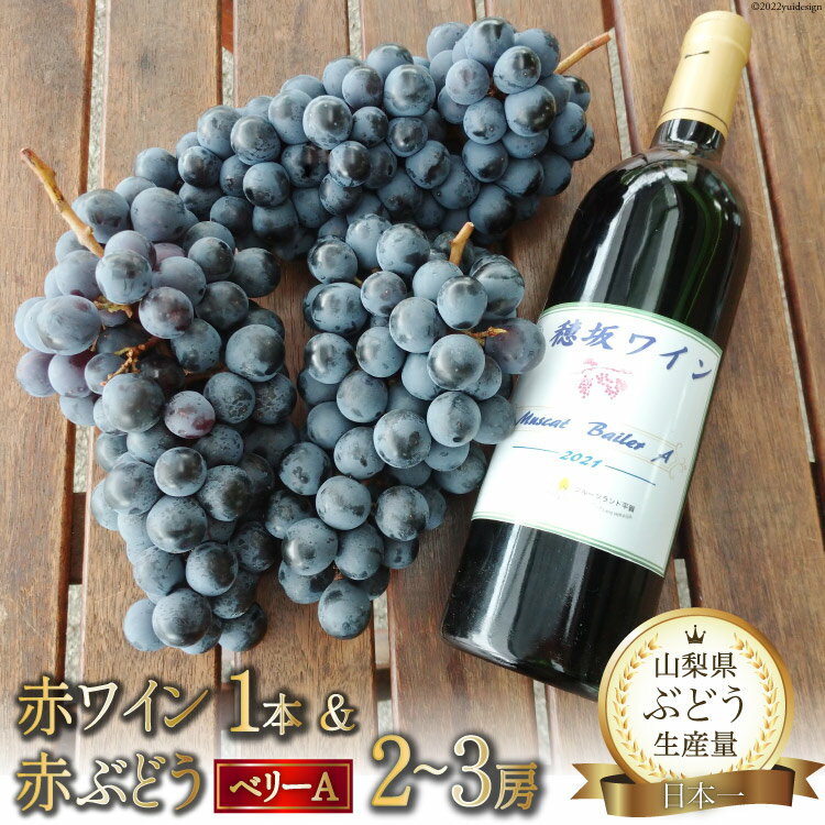 2024年9月下旬～2024年10月下旬において順次出荷 ※申込期日：2024年9月末日（決済確認） ※寄附申込が集中した場合は、お届けまでお待たせすることがございます。 ※北海道・沖縄・離島へ配送致しかねますので、予めご了承ください。 山梨県韮崎市穂坂町産は、ワイン特区として認定されている地域です。 その地域でとれた「ベーリーA」のみを使って醸造された「赤ワイン」と、その原料であるブドウ「ベーリーA」を詰め合わせにしました。 「ブドウ」→「ワイン」の進化形を同時に感じられる商品のため、アルコールの苦手な方やお子様には、ワインの原料の赤ブドウ「ベーリーA」をお楽しみいただけます。 普段、なかなか原料をみる機会や食べる機会もないと思いますので、ぜひこのセットで「ベーリーA」を味わってみてください。 巨峰やピオーネなどおなじみのブドウとは一味違って、やや酸味のある深い味わいです。 初めて召し上がる方も多いかと思いますが、「ベーリーA」のファンになっていただけたら生産している農家として大変うれしく思います。 ・赤ワイン：マルス穂坂ワイナリーの「穂坂ワイン」アルコール分12％　 ・赤ブドウ：ベーリーA ●フルーツランド平賀とは？ 穂坂で果樹園を営むフルーツランド平賀は、40年以上ブドウを栽培してきました。 「美味しい！」と口コミでお客さんが増えていき20年ほど前から店頭販売も開始しました。 栽培する種類は、ブドウ、モモ、リンゴ、キウイなどがあります。 当店のある韮崎市は、鳳凰三山や七里岩などの特徴的な地形や四季それぞれの表情があるところです。 空気も果物もおいしく眺めもよい所ですので、ぜひ一度、お越しください。 韮崎インターから5分とアクセスも抜群です！ 【注意事項】 ※20歳未満の飲酒は、法律で禁止されています。 ※妊娠中や授乳期の飲酒は、胎児・乳児の発育に悪影響を与える恐れがあります。 ※原料由来の成分が沈殿することがありますが品質に問題ありません。 ※ヴィンテージ（収穫年）のご指定はできません。 ※ボトルやラベルのデザインが予告なく変更になる場合がございます。 【お申し込み前に必ずご確認ください】 ・本返礼品は北海道・沖縄・離島へは配達いたしかねます。 ・システムの都合上、配達不可地域であってもお申し込みができてしまいますので、配送不可エリアをご確認の上お申込みください。 ・配達日の指定はお受けできません。 ・不在日がある場合は、備考欄に記載または申込後3日以内にご連絡をお願いいたします。 ・長期不在などお受取人様の都合によりお届けができなかった場合、再送およびキャンセルはいたしかねます。 ・万が一出荷困難な場合は、当自治体の別のお品（同一金額以下）をお選びいただくことがございます。 　　　 商品説明 名称 ワイン 山梨県 穂坂産 赤ワイン ＆ 赤ぶどう ベーリーA 内容量 ・赤ワイン 750ml×1本 ・ブドウ ベーリーA 2～3房 原材料名 ・赤ワイン：ブドウ（穂坂町産）、酸化防止剤（亜硫酸塩） ・ブドウ 賞味期限 ・赤ワイン：開栓後はワインの風味が失われぬようお早めにお召し上がりください。 ・ブドウ：出荷から約5日（到着後要冷蔵） 配送方法 常温 生産者 フルーツランド平賀 ・ふるさと納税よくある質問はこちら ・寄付申込みのキャンセル、返礼品の変更・返品はできません。あらかじめご了承ください。ワイン 山梨県 穂坂産 赤ワイン 750ml×1本 ＆ 赤ぶどう ベーリーA 2〜3房 酒 フルーツ 果物 葡萄 ブドウ 詰め合わせ / フルーツランド平賀 / 山梨県 韮崎市 2024年9月下旬～2024年10月下旬において順次出荷 ※申込期日：2024年9月末日（決済確認） ※寄附申込が集中した場合は、お届けまでお待たせすることがございます。 ※北海道・沖縄・離島へ配送致しかねますので、予めご了承ください。 山梨県韮崎市穂坂町産は、ワイン特区として認定されている地域です。 その地域でとれた「ベーリーA」のみを使って醸造された「赤ワイン」と、その原料であるブドウ「ベーリーA」を詰め合わせにしました。 「ブドウ」→「ワイン」の進化形を同時に感じられる商品のため、アルコールの苦手な方やお子様には、ワインの原料の赤ブドウ「ベーリーA」をお楽しみいただけます。 普段、なかなか原料をみる機会や食べる機会もないと思いますので、ぜひこのセットで「ベーリーA」を味わってみてください。 巨峰やピオーネなどおなじみのブドウとは一味違って、やや酸味のある深い味わいです。 初めて召し上がる方も多いかと思いますが、「ベーリーA」のファンになっていただけたら生産している農家として大変うれしく思います。 ・赤ワイン：マルス穂坂ワイナリーの「穂坂ワイン」アルコール分12％　 ・赤ブドウ：ベーリーA ●フルーツランド平賀とは？ 穂坂で果樹園を営むフルーツランド平賀は、40年以上ブドウを栽培してきました。 「美味しい！」と口コミでお客さんが増えていき20年ほど前から店頭販売も開始しました。 栽培する種類は、ブドウ、モモ、リンゴ、キウイなどがあります。 当店のある韮崎市は、鳳凰三山や七里岩などの特徴的な地形や四季それぞれの表情があるところです。 空気も果物もおいしく眺めもよい所ですので、ぜひ一度、お越しください。 韮崎インターから5分とアクセスも抜群です！ 【注意事項】 ※20歳未満の飲酒は、法律で禁止されています。 ※妊娠中や授乳期の飲酒は、胎児・乳児の発育に悪影響を与える恐れがあります。 ※原料由来の成分が沈殿することがありますが品質に問題ありません。 ※ヴィンテージ（収穫年）のご指定はできません。 ※ボトルやラベルのデザインが予告なく変更になる場合がございます。 【【お申し込み前に必ずご確認ください】 ・本返礼品は北海道・沖縄・離島へは配達いたしかねます。 ・システムの都合上、配達不可地域であってもお申し込みができてしまいますので、配送不可エリアをご確認の上お申込みください。 ・配達日の指定はお受けできません。 ・不在日がある場合は、備考欄に記載または申込後3日以内にご連絡をお願いいたします。 ・長期不在などお受取人様の都合によりお届けができなかった場合、再送およびキャンセルはいたしかねます。 ・万が一出荷困難な場合は、当自治体の別のお品（同一金額以下）をお選びいただくことがございます。