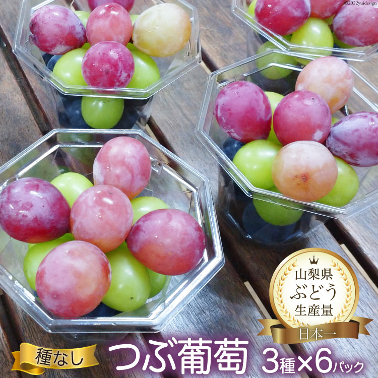 【ふるさと納税】【2025年発送】 ぶどう 種なし つぶ葡萄 3種×6パック シャインマスカット入 詰め合わせ [フルーツランド平賀 山梨県 韮崎市 20742840] フルーツ 果物 葡萄 ブドウ 食べ比べ 詰合せ 山梨県産 産地直送 期間限定 季節限定 冷蔵