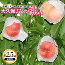 16位! 口コミ数「6件」評価「3.83」大久保さんの桃　約2.5kg（家庭用）山梨県産　もも [大久保桃園 山梨県 韮崎市 20742133]