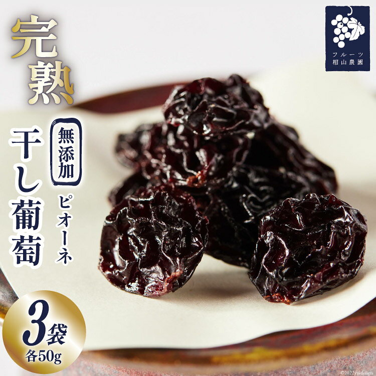 【 無添加 】完熟 干し葡萄 50g×3袋 [フルーツ相山農園 山梨県 韮崎市 20741937] 干しぶどう レーズン ピオーネ 高級 化粧箱