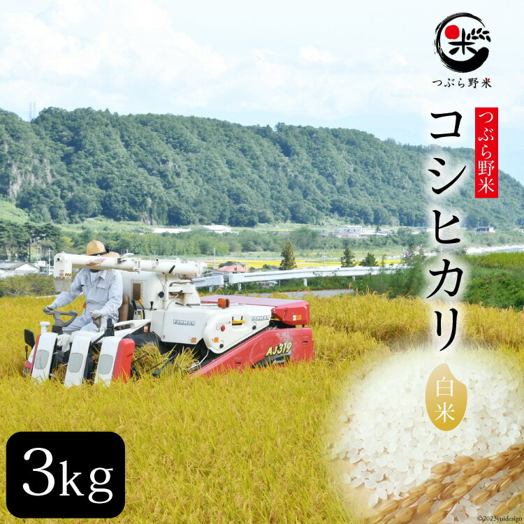 【ふるさと納税】【お中元】米 令和5年 つぶら野米 コシヒカリ 白米 3kg [つぶら野米 山梨県 韮崎市 20741899] こめ コメ お米 精米 こしひかりのサムネイル