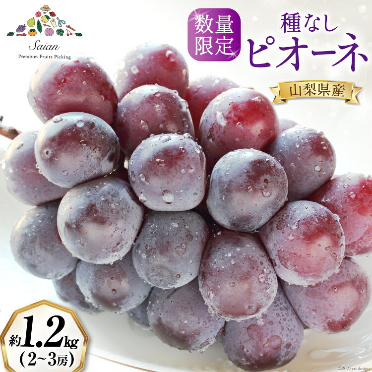 ぶどう 種なし ピオーネ 約1.2kg(2〜3房) [斎庵 山梨県 韮崎市 20742002] ブドウ 葡萄 期間限定 冷蔵 黒ぶどう 種無し