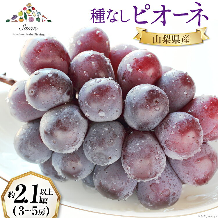 ぶどう 種なし ピオーネ 約2.1〜2.4kg(3〜5房) [斎庵 山梨県 韮崎市 20742003] ブドウ 葡萄 期間限定 冷蔵 黒ぶどう 種無し