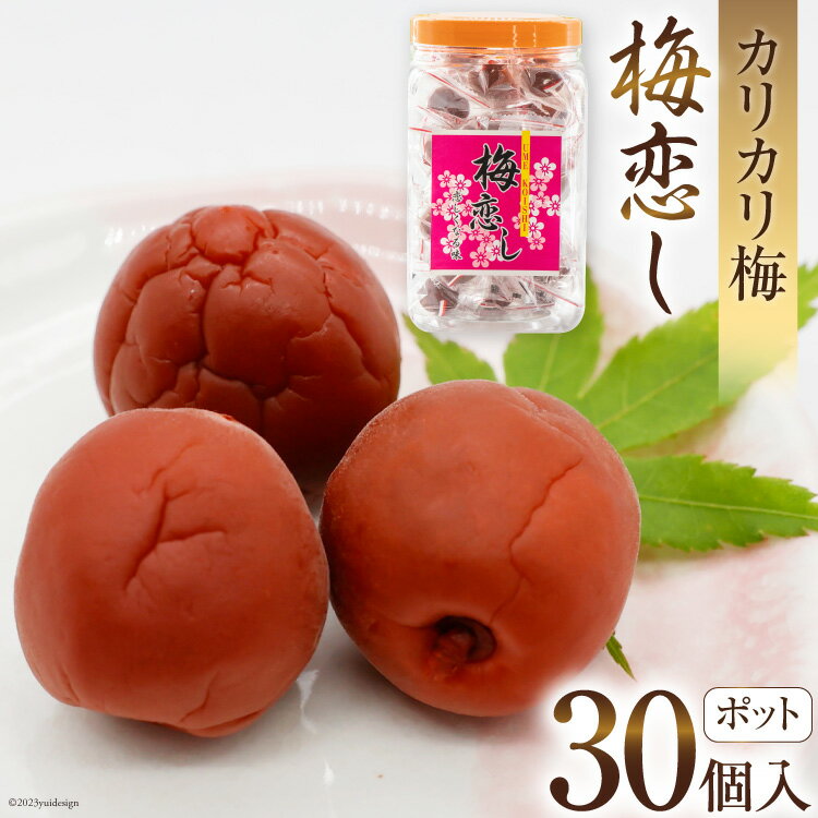 47位! 口コミ数「0件」評価「0」梅干し 梅恋しポット 30個入 [山梨農産食品 山梨県 韮崎市 20742105] 梅干 うめぼし 個包装 梅 漬物 つけもの おやつ おつ･･･ 