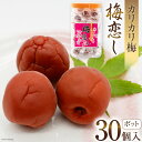 10位! 口コミ数「0件」評価「0」梅干し 梅恋しポット 30個入 [山梨農産食品 山梨県 韮崎市 20742105] 梅干 うめぼし 個包装 梅 漬物 つけもの おやつ おつ･･･ 