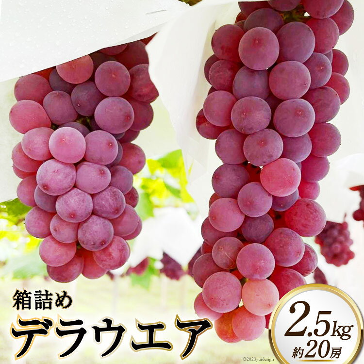 ※廃番※【ふるさと納税】 【先行受付】 ぶどう 山梨 デラウエア 種なし 箱詰め 2.5kg 約20房 フルーツ 果物 ぶどう ブドウ 葡萄 贈答 ギフト 山梨県産 期間限定 季節限定 送料無料 [太陽農園 山梨県 韮崎市 20742131]
