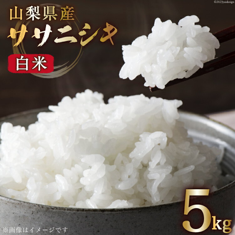 【ふるさと納税】米 令和5年 ササニシキ 5kg [大成農房 山梨県 韮崎市 20742136] お米 おこめ こめ コメ ご飯 ごはん 精米 白米 高アミロース米 ささにしき 家庭用 国産のサムネイル