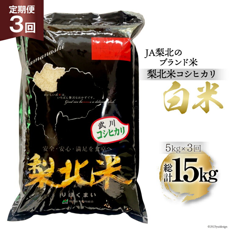 [3回 米 定期便 ] 武川米 コシヒカリ 5kg×3回 総計15kg / 梨北農業協同組合 / 山梨県 韮崎市 [20741437] こしひかり お米 おこめ こめ コメ ご飯 ごはん 精米 白米 国産 JA梨北