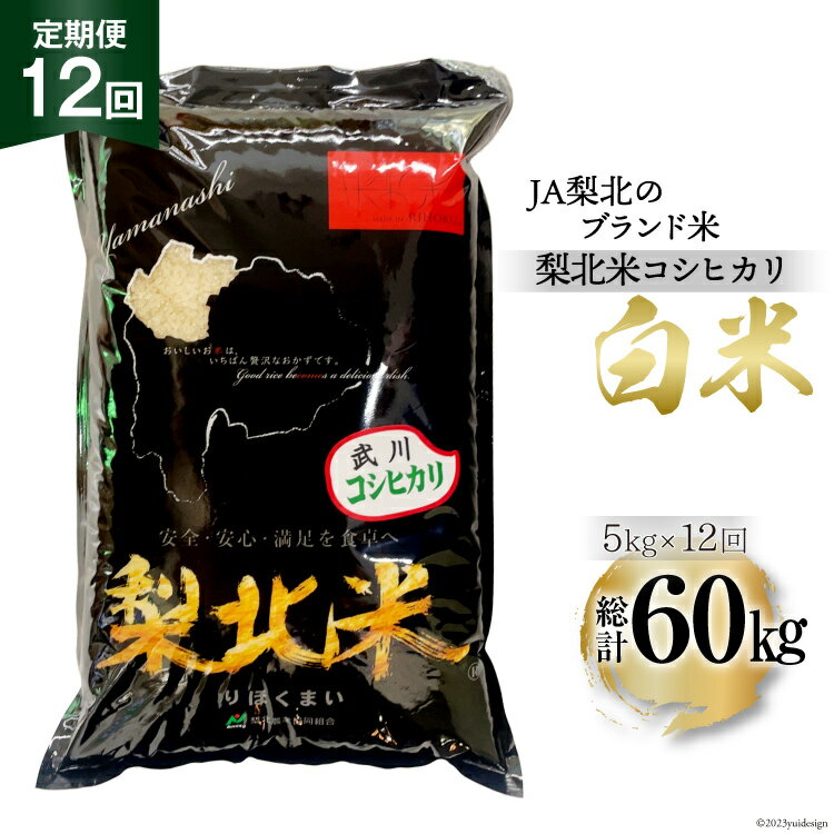 [定期便][12回 米 定期便 ] 武川米 コシヒカリ 5kg×12回 総計60kg [梨北農業協同組合 山梨県 韮崎市 20742745] こしひかり お米 おこめ こめ コメ 精米 60キロ ご飯 ごはん 白米 国産 JA梨北