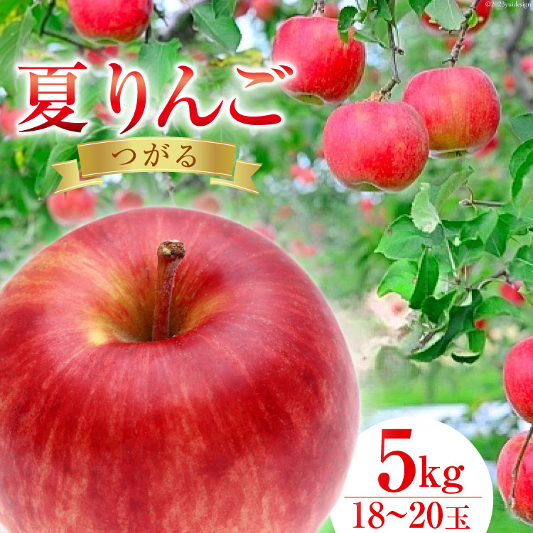 5位! 口コミ数「0件」評価「0」【先行予約 2024年発送】【 数量限定 】 夏 りんご つがる 5kg 18～20玉 [長坂りんご園 山梨県 韮崎市 20742332] ･･･ 