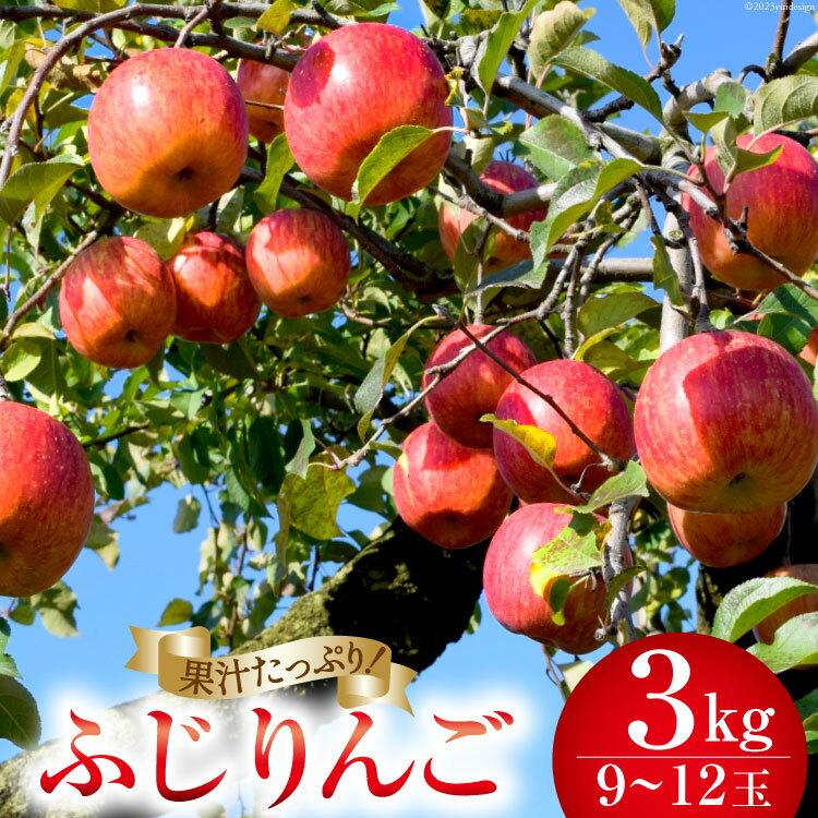 [2025年発送] [ 数量限定 ] りんご ふじ 約3kg (9〜12玉) [長坂りんご園 山梨県 韮崎市 20742156] 果物 フルーツ くだもの 果実 デザート リンゴ 林檎 3キロ 旬 山梨 山梨県産 期間限定 季節限定