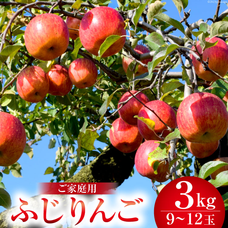 【楽天限定 先行受付】りんご ふじ 約3kg (9〜12玉) 訳あり 家庭用 数量限定 [長坂りんご園 山梨県 韮崎市 20742334] 果物 果実 フルーツ 山梨 リンゴ 林檎 旬 規格外 季節限定