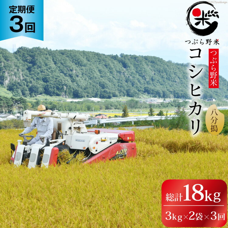 27位! 口コミ数「0件」評価「0」米 3回 定期便 つぶら野米 コシヒカリ 八分搗き 3kg×2袋 総計18kg [つぶら野米 山梨県 韮崎市 20741908] こめ コメ･･･ 