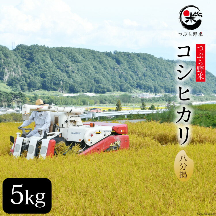 米 令和5年 つぶら野米 コシヒカリ 八分搗き 5kg / つぶら野米 / 山梨県 韮崎市 [20741630] こめ コメ お米 精米 こしひかり