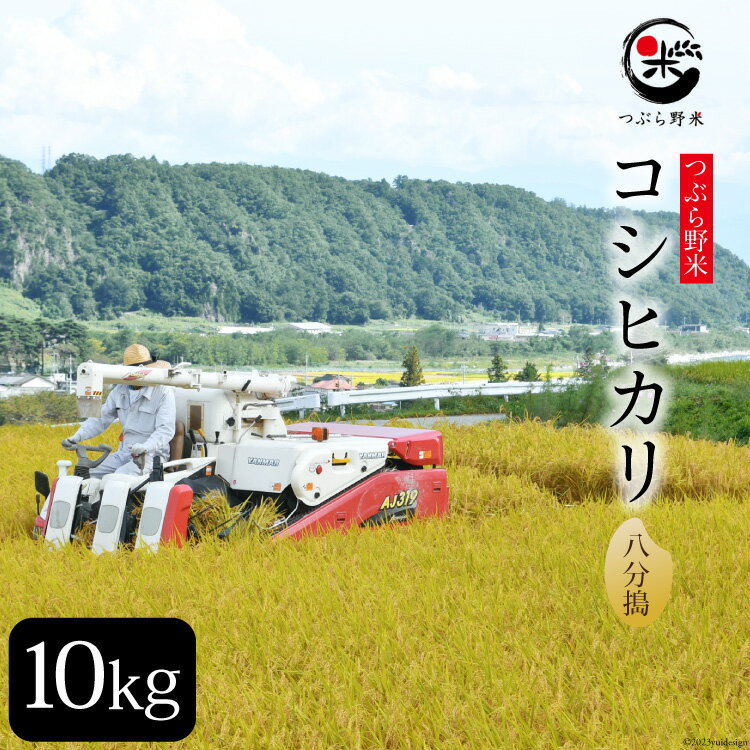 45位! 口コミ数「0件」評価「0」米 令和5年 つぶら野米 コシヒカリ 八分搗き 10kg [つぶら野米 山梨県 韮崎市 20741902] こめ コメ お米 精米 こしひか･･･ 