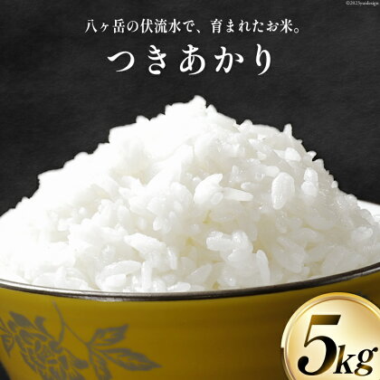 米 令和5年 つきあかり 5kg [大成農房 山梨県 韮崎市 20742138] お米 おこめ こめ コメ ご飯 ごはん 精米 白米 ツキアカリ 家庭用 国産