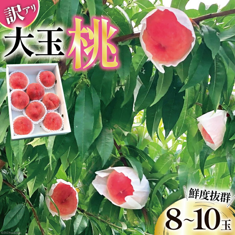 【ふるさと納税】【2025年発送】 訳あり 桃 大玉桃 8～10玉 約3kg [斉藤農園 山梨県 韮崎市 20743042] もも モモ 3キロ 果物 フルーツ くだもの 果実 旬 季節限定 期間限定 数量限定 冷蔵 山梨 大玉 デザート